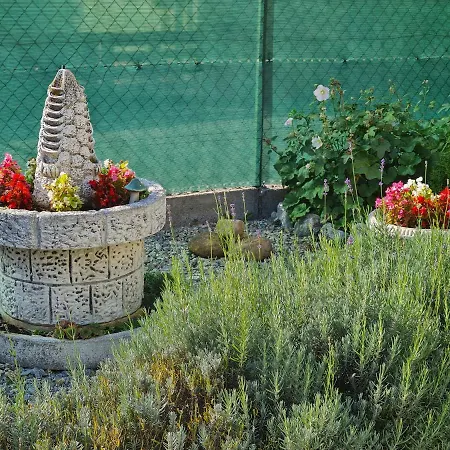 Apartment Ginger House