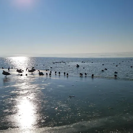 Apartment Ginger House Keszthely