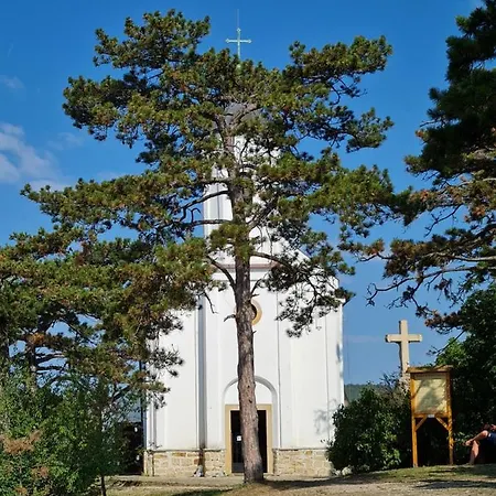 Apartament Ginger House *