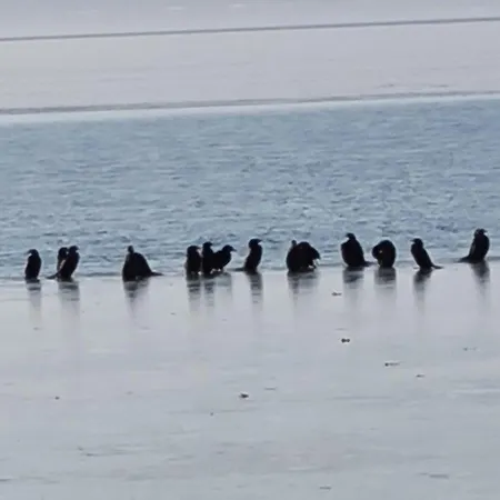 Ginger House Apartment Keszthely