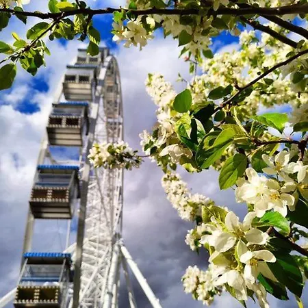 Apartment Ginger House