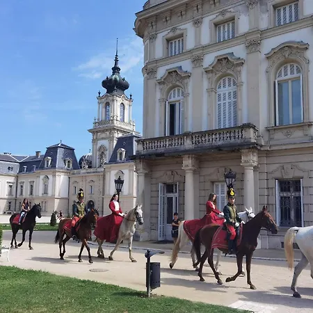 Ginger House Apartment *