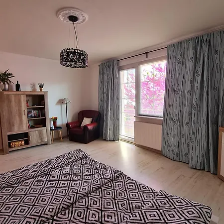 Apartment Ginger House