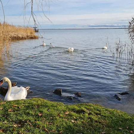 Ginger House Apartment