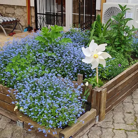 Appartamento Ginger House *