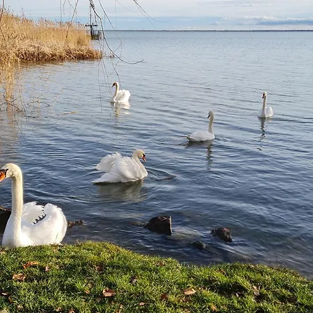 Apartment Ginger House *