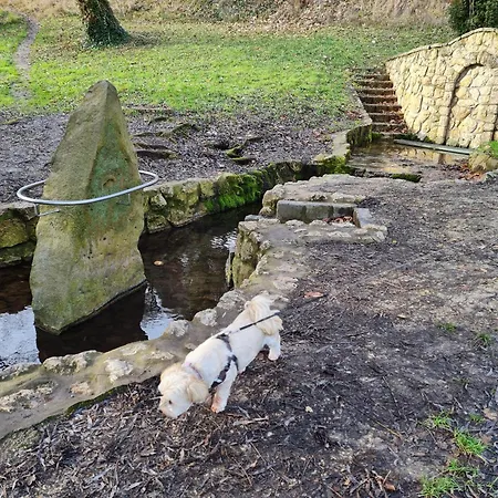 Apartment Ginger House *